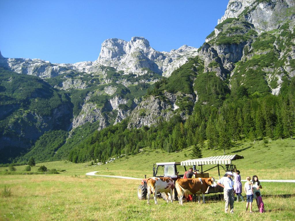 Bio Bauernhof Vorderoberlehen Hotel เวอร์เฟนแวง ภายนอก รูปภาพ