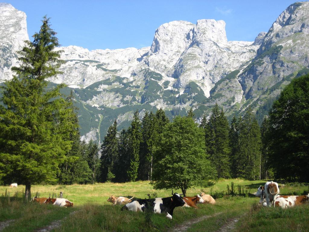 Bio Bauernhof Vorderoberlehen Hotel เวอร์เฟนแวง ภายนอก รูปภาพ