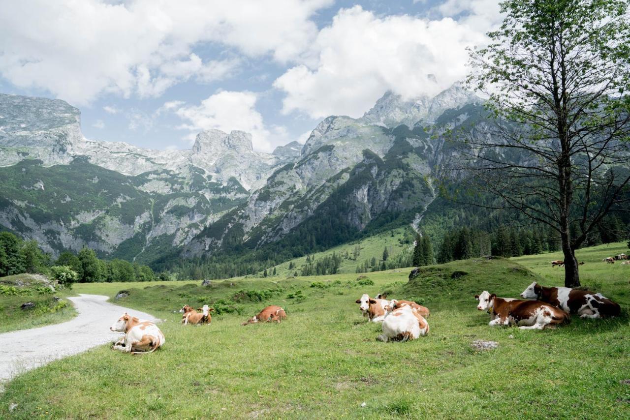 Bio Bauernhof Vorderoberlehen Hotel เวอร์เฟนแวง ภายนอก รูปภาพ