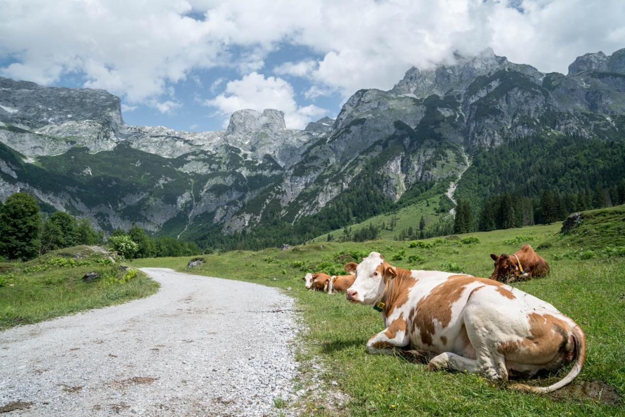 Bio Bauernhof Vorderoberlehen Hotel เวอร์เฟนแวง ภายนอก รูปภาพ